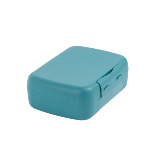 Pojemnik na kanapki i przekaski, lunchbox z przegródką 1,4L Reef Green / Amuse