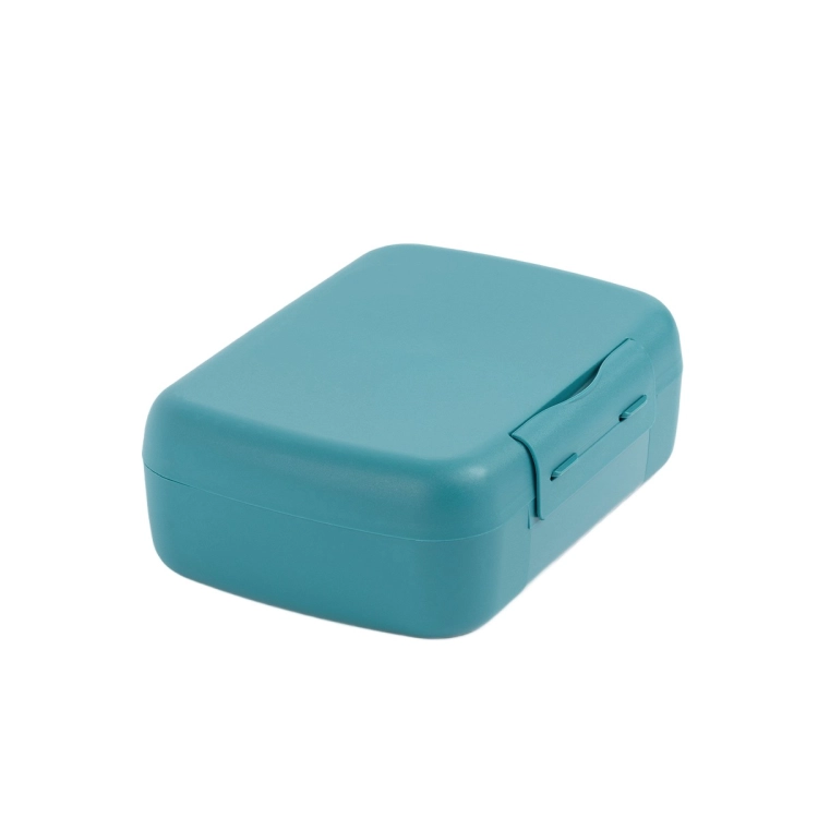 Pojemnik na kanapki i przekaski, lunchbox z przegródką 1,4L Reef Green / Amuse