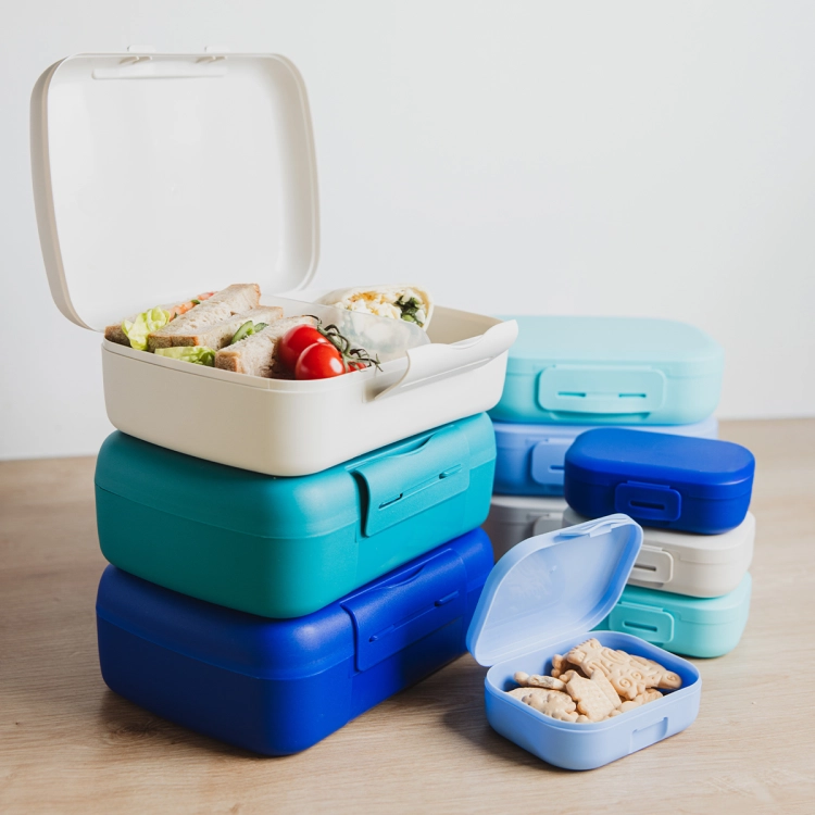 Pojemnik na kanapki i przekaski z przegródką 1,4L Cobalt Blue / Amuse. Idealna śniadaniówka do szkoły lub pracy.